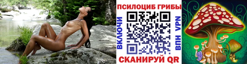 Галлюциногенные грибы Psilocybe хочу наркоту Нязепетровск
